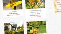 Images4