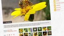 Images5