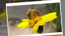 Images6