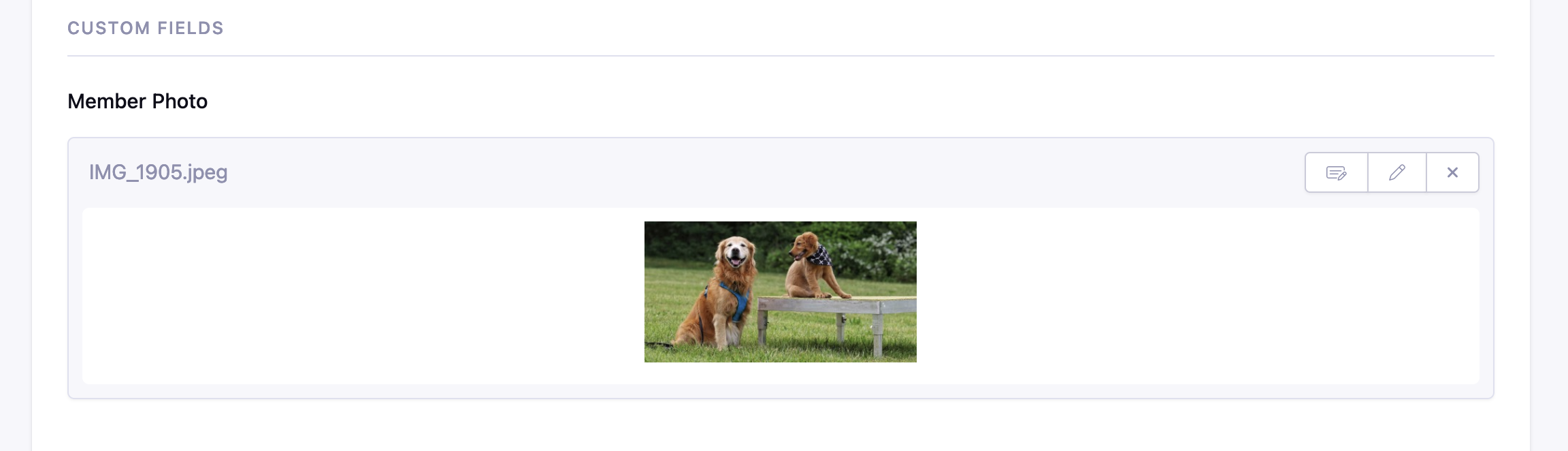 Member custom field file fieldtype