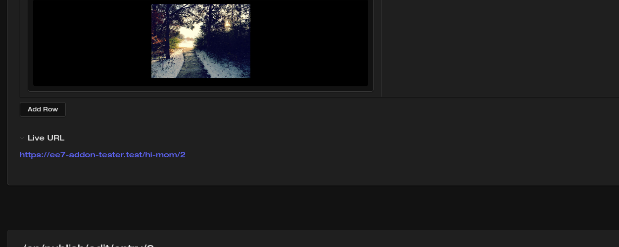 See the entry's URL right in the channel form!